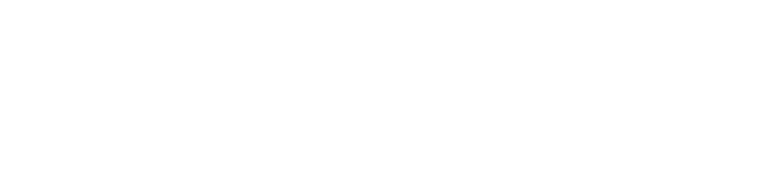 Professional Courage_2.0 WHT